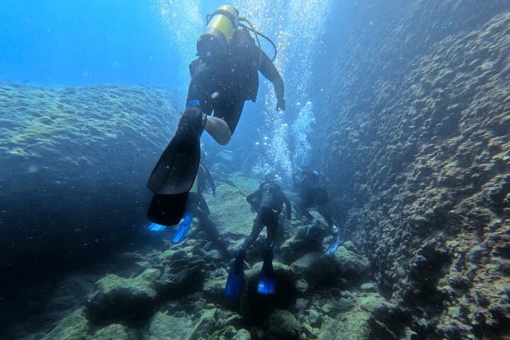 Chania Shore Dives in Almyrida — Guided PADI Fun Dives in Crete photo 5