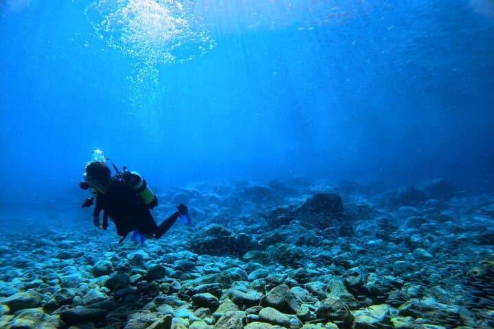 Chania Shore Dives in Almyrida — Guided PADI Fun Dives in Crete photo 6