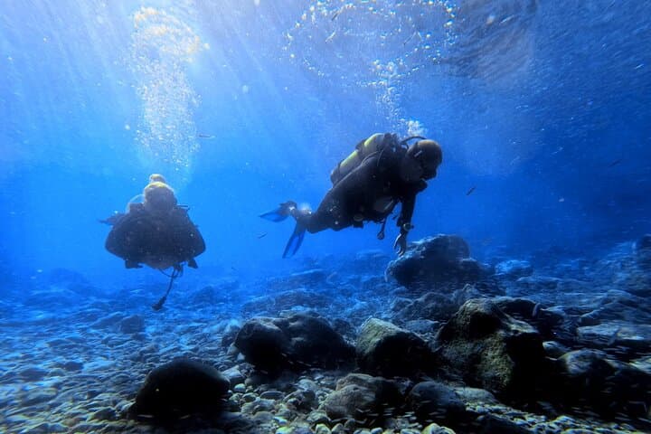 Chania Shore Dives in Almyrida — Guided PADI Fun Dives in Crete photo 3