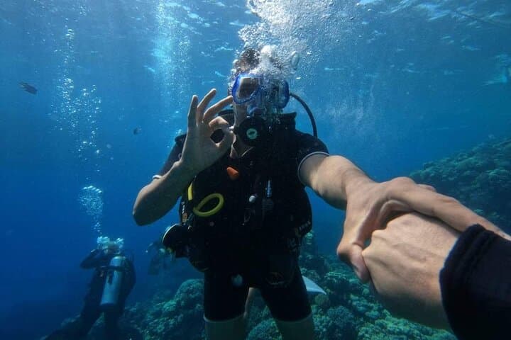VIP Full-Day Scuba Intro in Hurghada: Two Dives, Lunch & Red Sea Reefs photo 3