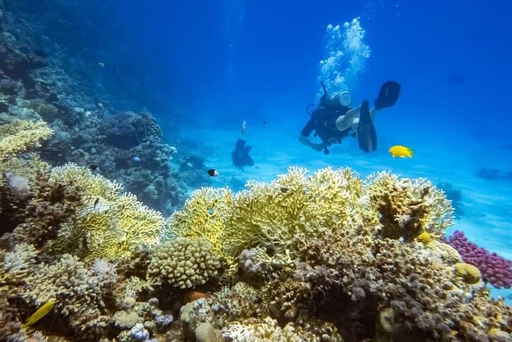 VIP Full-Day Scuba Intro in Hurghada: Two Dives, Lunch & Red Sea Reefs photo 2