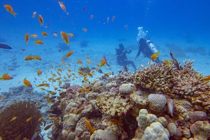 Hurghada VIP Full-Day Scuba: Explore Red Sea Reefs & Wrecks photo 5