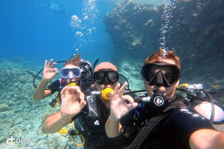 Hurghada VIP Full-Day Scuba: Explore Red Sea Reefs & Wrecks photo 6