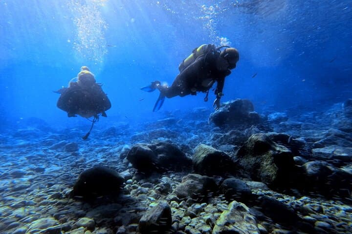 Almyrida Introduction Scuba Dive — Try Scuba in Chania with Photos & Video photo 4