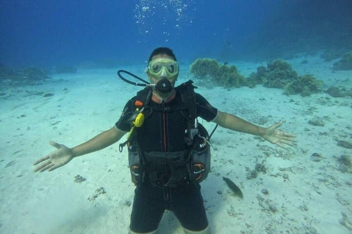 Hurghada VIP Full-Day Scuba: Explore Red Sea Reefs & Wrecks photo 3