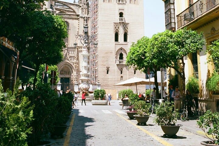 Private Transfer from Cádiz to Seville: 4‑Hour Shore Excursion & City Highlights photo 3