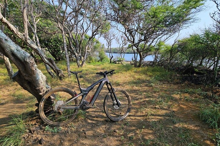 South Point E-Mountain Bike Tour — Big Island Coastal E-Bike Adventure photo 2