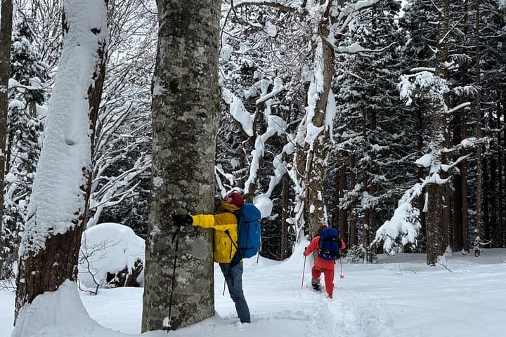 Nagano Private Snowshoeing and Snow Monkey Tour: Togakushi Forest & Jigokudani Hot Springs