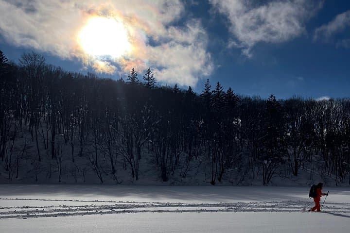 Nagano Private Snowshoeing and Snow Monkey Tour: Togakushi Forest & Jigokudani Hot Springs photo 3
