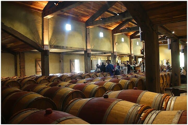 Hawke's Bay Half-Day Small-Group Winery Tour from Napier photo 6