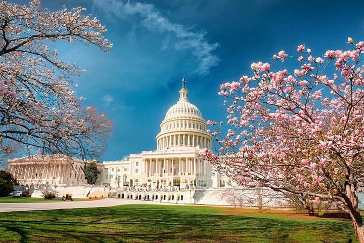 Slow-Paced 2-Day Seniors Tour to Washington DC from New York — Accessible Monuments & Museums photo 3