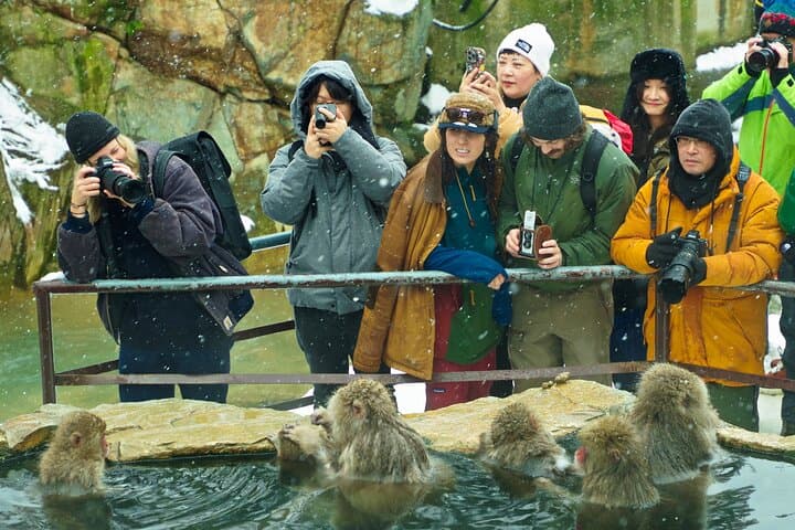 Snow Monkeys, Sake & Hokusai: Day Trip from Nagano photo 2