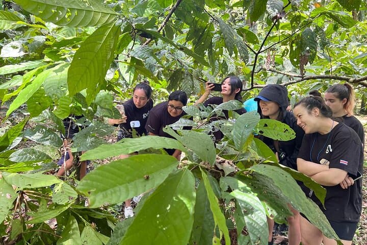 Gandoca Organic Farm & Chocolate Tour with Gandoca Lagoon Boat Experience photo 4
