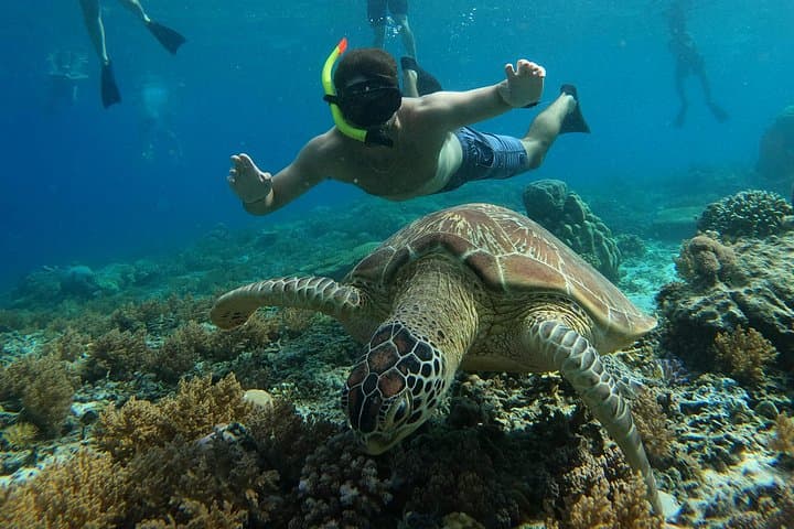 Gili Islands Snorkel Trip from Lombok: Swim with Turtles & Underwater Statues photo 3