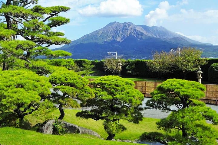 Sakurajima Views and Wagyu Plates: Full-Day Private Kagoshima Gastronomic Tour photo 2