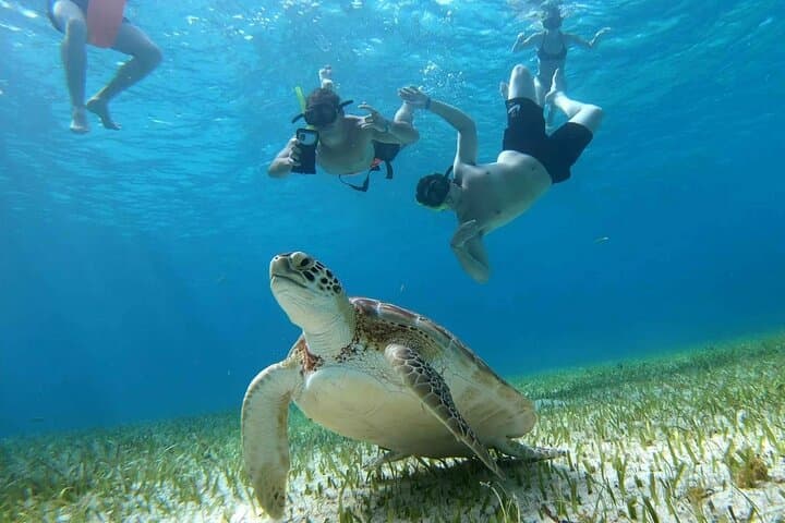 Private Catamaran Charter to El Cielo & Money Bar — Cozumel Snorkel and Beach Break