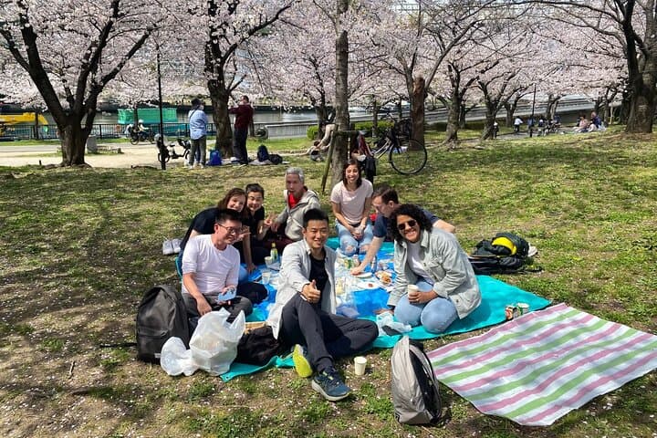 Osaka Sakura Picnic Hanami: Kema Sakuranomiya Cherry Blossom Walk photo 4