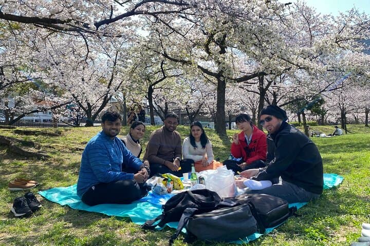 Osaka Sakura Picnic Hanami: Kema Sakuranomiya Cherry Blossom Walk photo 5