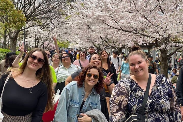 Osaka Sakura Picnic Hanami: Kema Sakuranomiya Cherry Blossom Walk photo 2