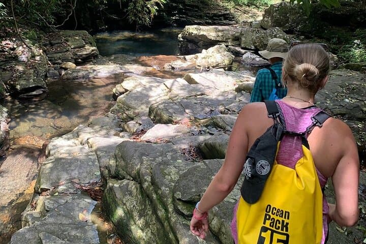 Bach Ma Summit Day Trek from Hue: Waterfalls, Five Lakes & Hai Van Views photo 5