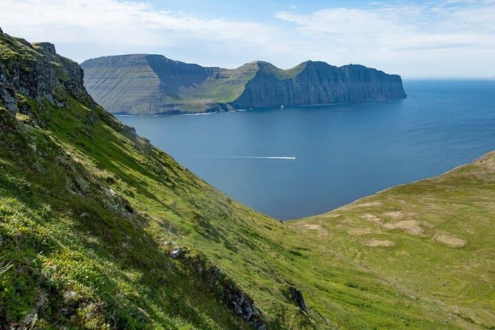 Hornvík & Hornbjarg: Exploring Hornstrandir’s Towering Bird Cliffs photo 5