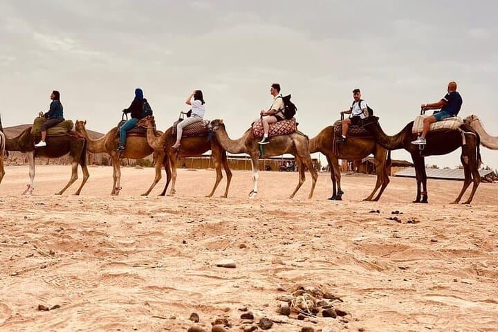 Agafay Desert Quad Bike, Camel Ride & Pool Day Trip from Marrakech photo 6