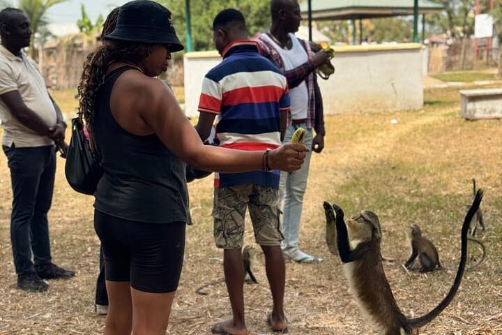 Essence of Ghana: 7-Day Cultural Immersion & Volta Adventure photo 3