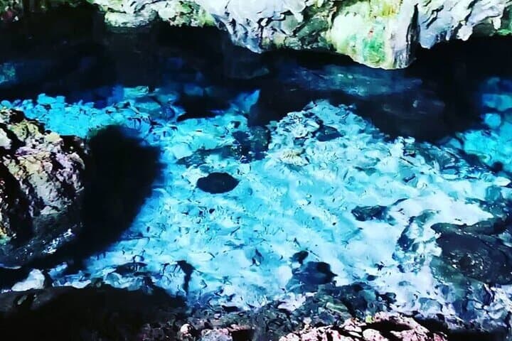 Zanzibar Dolphin & Cave Day Trip: Kizimkazi Dolphins, Kuza Cave & The Rock photo 4