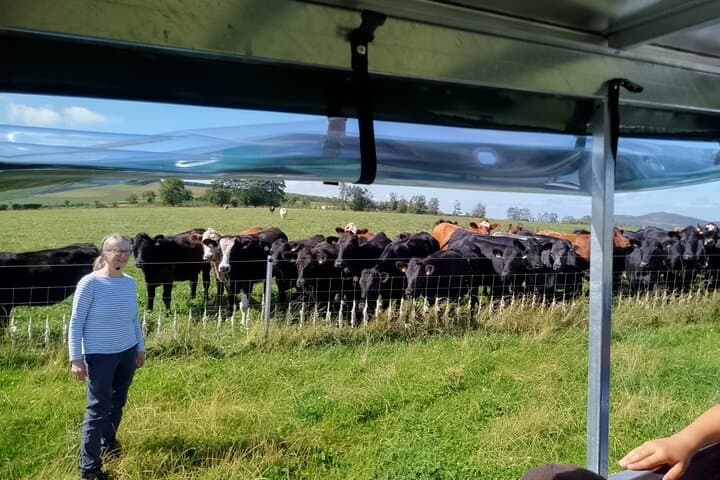 Bairnkine Farm Tour with the Farmer — Organic Borders Farm Experience