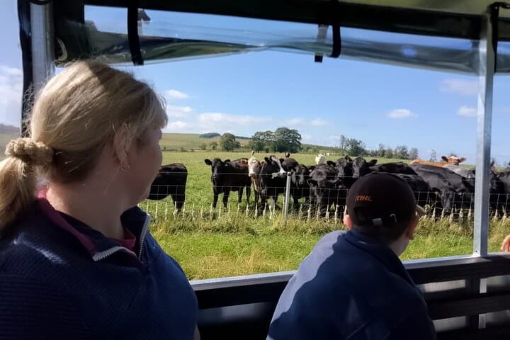 Bairnkine Farm Tour with the Farmer — Organic Borders Farm Experience photo 2