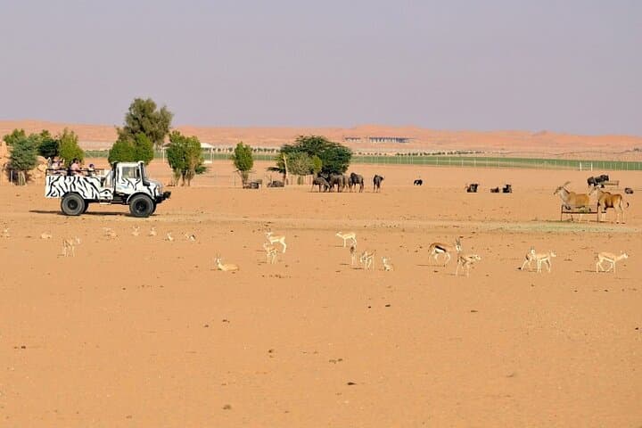 Open-Top Safari at Nofa Wildlife Park near Riyadh: What to Expect & Practical Tips