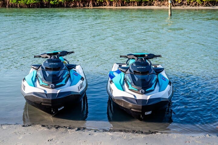 Dolphin Watching Jet Ski Tour on Florida's Treasure Coast photo 2