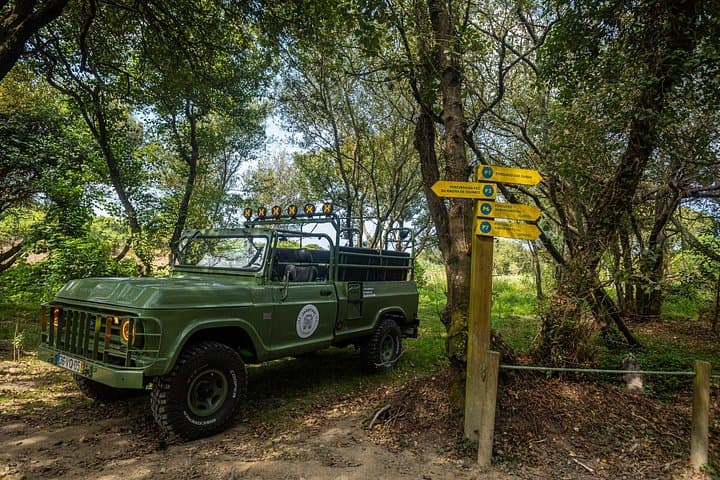 North Coast Birdwatching Jeep Tour — Mindelo Ornithological Reserve & Vila do Conde from Porto photo 3