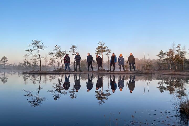 Bog-Shoe Walk from Riga: Explore Kemeri's Great Bog on Foot photo 4