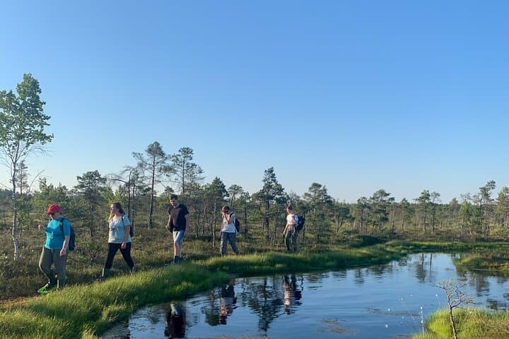 Bog-Shoe Walk from Riga: Explore Kemeri's Great Bog on Foot photo 5