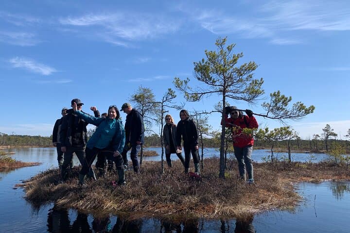 Bog-Shoe Walk from Riga: Explore Kemeri's Great Bog on Foot photo 6