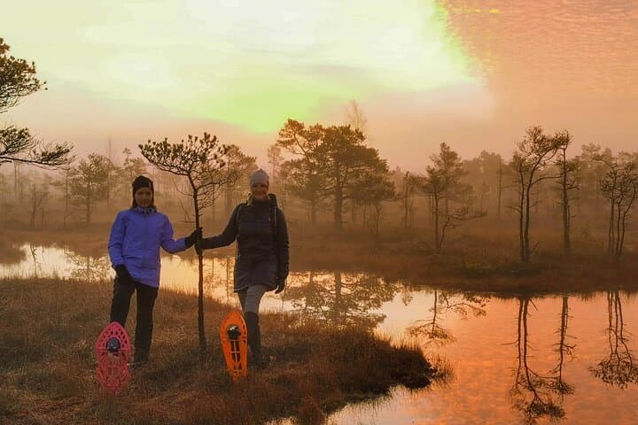 Bog-Shoe Walk from Riga: Explore Kemeri's Great Bog on Foot photo 3