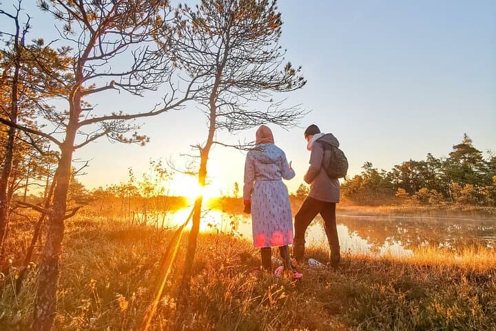 Bog-Shoe Walk from Riga: Explore Kemeri's Great Bog on Foot photo 2