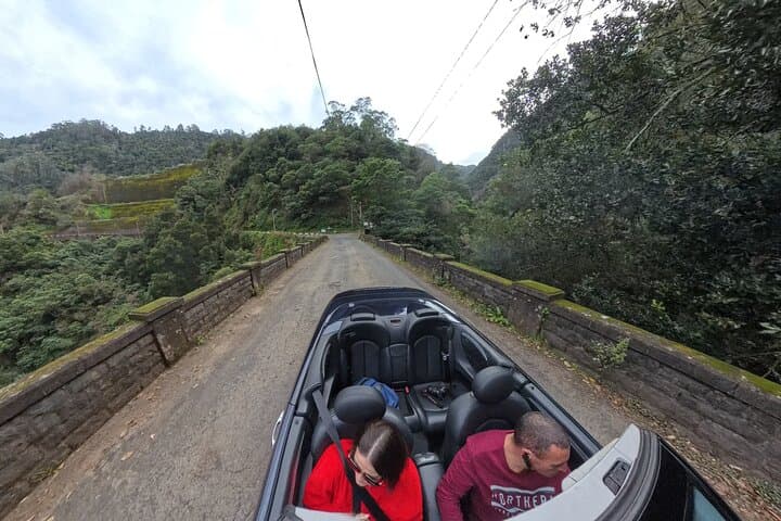 Funchal Cabriolet Scenic Drive: Mountains, Viewpoints & Gardens photo 4