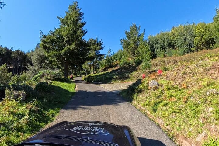 Funchal Cabriolet Scenic Drive: Mountains, Viewpoints & Gardens photo 6