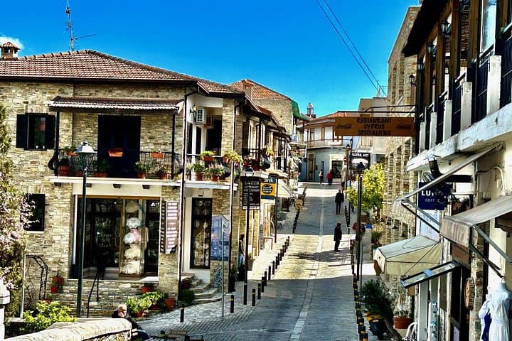 Lefkara Village Olive Farm & Donkey Farm Day Tour — Tasting & Tradition photo 1