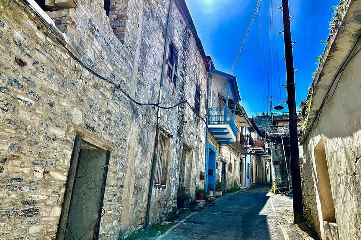 Lefkara Village Olive Farm & Donkey Farm Day Tour — Tasting & Tradition photo 2