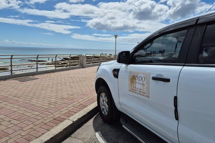 Private Transfers in Port Elizabeth (Gqeberha): Airport & Accommodation Pickup photo 2