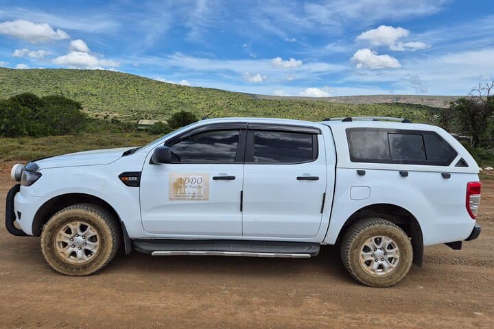 Private Transfers in Port Elizabeth (Gqeberha): Airport & Accommodation Pickup photo 3