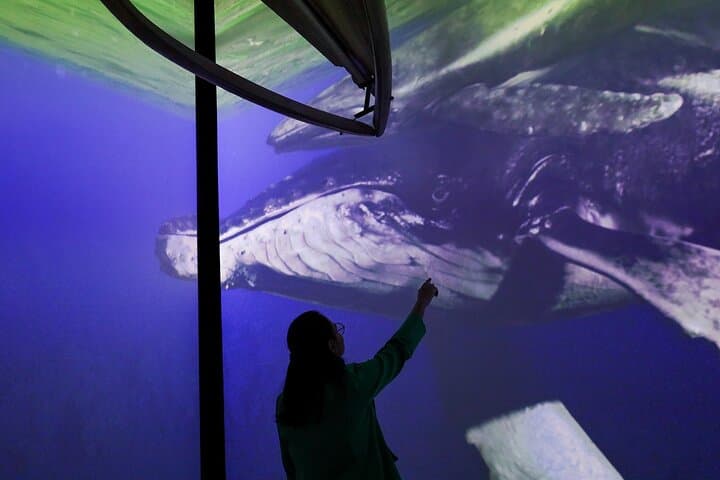 munba-whale-museum-mazatlan-interactive-ocean-science photo 5