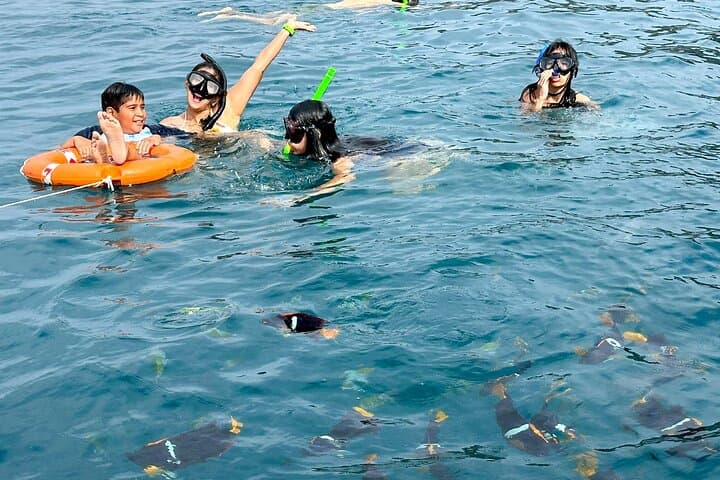Whale, Sea Lion & Snorkel Experience from Puerto López photo 4