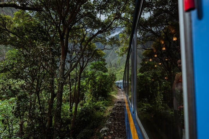 Machu Picchu Full-Day by Train: Magical Inca City Adventure from Cusco photo 6