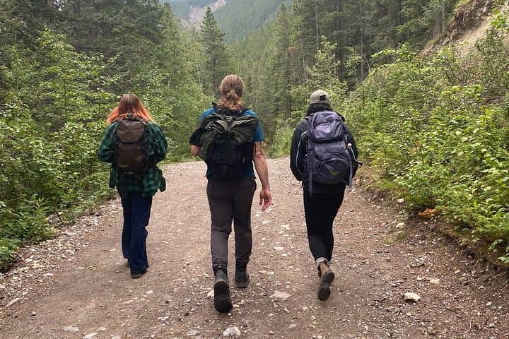 Calgary Urban & Rocky Escape: Music, Culture and Fish Creek Adventures photo 4