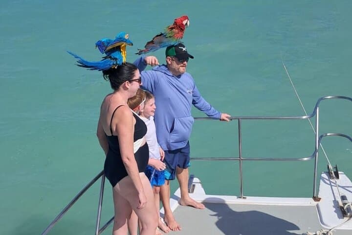 Punta Cana Private Boat Party: Snorkeling, Natural Pools & Open Bar photo 5