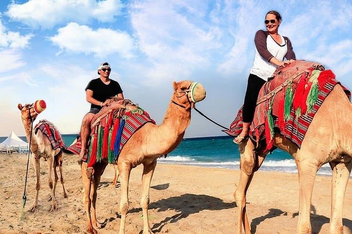 Doha Desert Safari: Camel Ride, Sandboarding & Khor Al Adaid Inland Sea photo 3